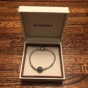 Pandora hearts all over charm